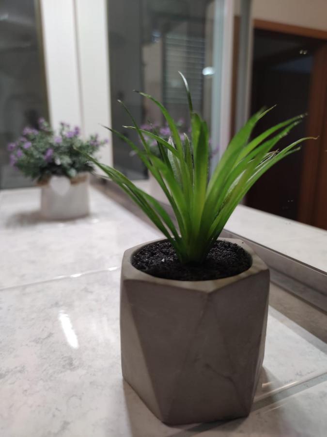 Apartment Sve U 5 Minuta *